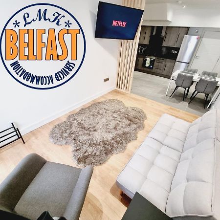 Lmk, Spacious 1 Bedroom Ground Floor Apartment, Ev Charger, Free Parking Wi-Fi, Great Location Belfast Kültér fotó