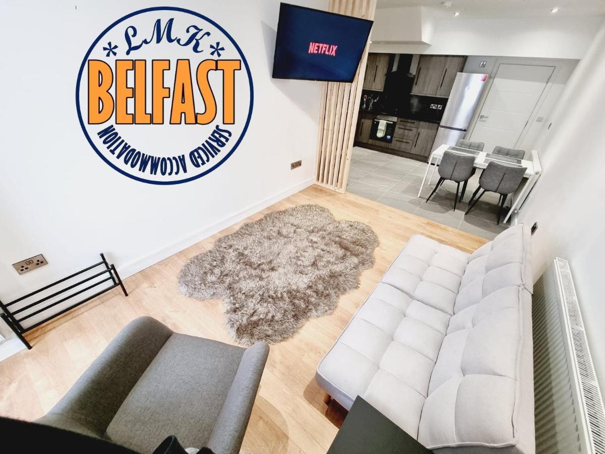 Lmk, Spacious 1 Bedroom Ground Floor Apartment, Ev Charger, Free Parking Wi-Fi, Great Location Belfast Kültér fotó